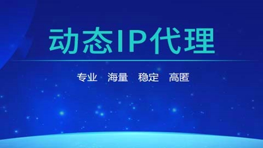 new 大图.jpg